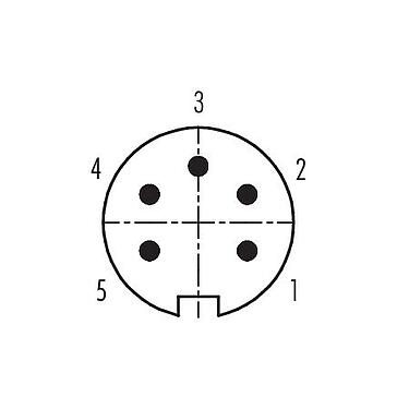 Disposition des contacts (Côté plug-in) 99 5113 19 05 - M16 Connecteur mâle, Contacts: 5 (05-a), 4,0-6,0 mm, blindable, souder, IP67, UL