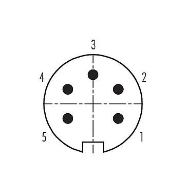 Contactconfiguratie (aansluitzijde) 99 4813 00 05 - Push Pull Kabelstekker, aantal polen: 5, 4,0-8,0 mm, schermbaar, soldeer, IP67