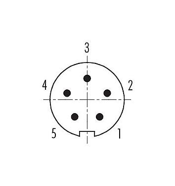 Polbild (Steckseite) 99 0413 115 05 - M9 Kabelstecker, Polzahl: 5, 4,0-5,5 mm, schirmbar, löten, IP67