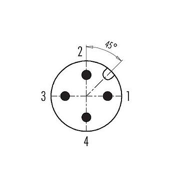 Disposition des contacts (Côté plug-in) 99 0430 162 04 - M12 Connecteur duo  - connecteur d‘angle femelle, Contacts: 4, 2 x câble Ø 2,1-3,0 mm ou Ø 4,0-5,0 mm, non blindé, pince à visser, IP67