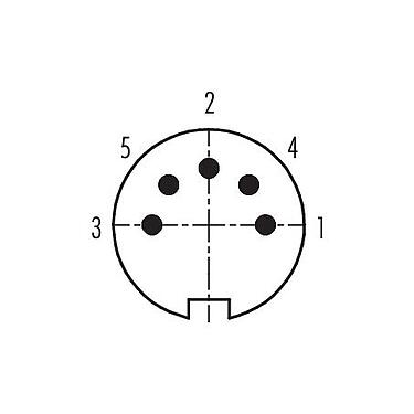 Disposition des contacts (Côté plug-in) 99 2017 02 05 - M16 Connecteur mâle, Contacts: 5 (05-b), 6,0-8,0 mm, blindable, souder, IP40