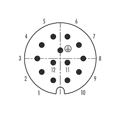 Disposition des contacts (Côté plug-in) 99 0717 70 13 - RD30 Connecteur mâle coudé, Contacts: 12+PE, 10,0-12,0 mm, non blindé, souder, IP65