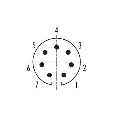 Расположение контактов (со стороны подключения) 99 0421 10 07 - M9 Кабельный штекер, Количество полюсов: 7, 3,5-5,0 мм, экранируемый, пайка, IP67