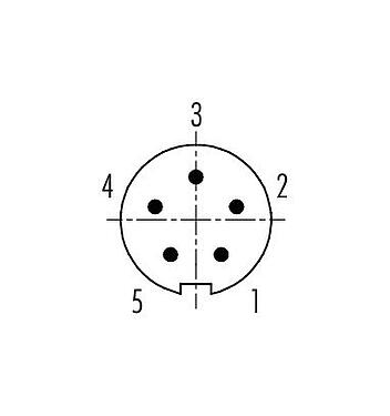 Arranjo de contato (Lado do plug-in) 99 0995 100 05 - Baioneta Plugue de cabo, Contatos: 5, 3,0-4,0 mm, desprotegido, solda, IP40