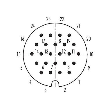 Disposition des contacts (Côté plug-in) 99 0737 02 24 - RD30 Connecteur mâle, Contacts: 24, 12,0-14,0 mm, non blindé, souder, IP65