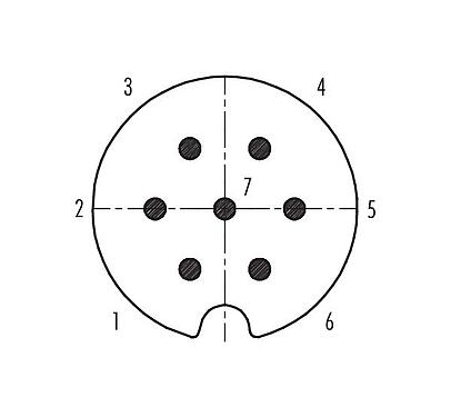 Расположение контактов (со стороны подключения) 09 0041 00 07 - M25 Кабельный штекер, Количество полюсов: 7, 5,0-8,0 мм, экранируемый, пайка, IP40