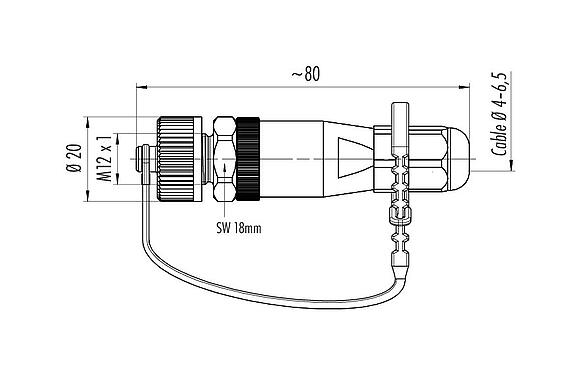 Dibujo a escala 99 0437 684 05 - M12 Conector de cable macho, Número de contactos: 5, 4,0-6,5 mm, sin blindaje, tornillo extraíble, IP69K